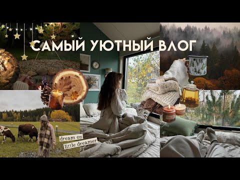 Видео: САМЫЙ УЮТНЫЙ ВЛОГ | день в лесном домике, ферма и вдохновление
