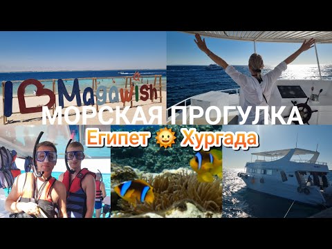 Видео: Морская прогулка🤿 🏝 Остров MAGAWISH Египет