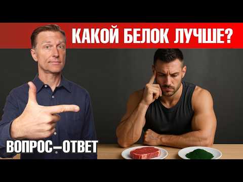 Видео: Правда о белке: спирулина обгоняет мясо?!😲
