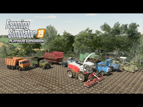 Видео: FS19 Timelapse #37 Уборка силоса RSM F2650, КамАЗ, ГАЗ-53, МТЗ-80, ЗИЛ, Т-150К, Fortschritt E281