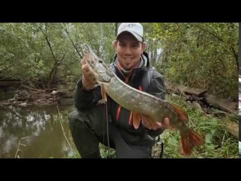 Видео: Ловля щуки в заросших водоемах