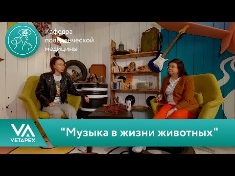 Видео: Кафедра Поведенческой медицины - "Музыка в жизни животных"