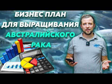 Видео: Бизнес план для УЗВ по ВЫРАЩИВАНИЮ австралийского РАКА | Бизнес идеи | Стартап