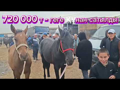 Видео: 26.10.25.Келес - Абай мал базары.Жылқылар,аттар,биелер,биелер құлынымен,байталдар,жабағылар,құлындар