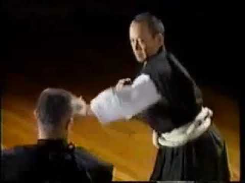 Видео: Сёриндзи кэмпо / Shorinji Kempo