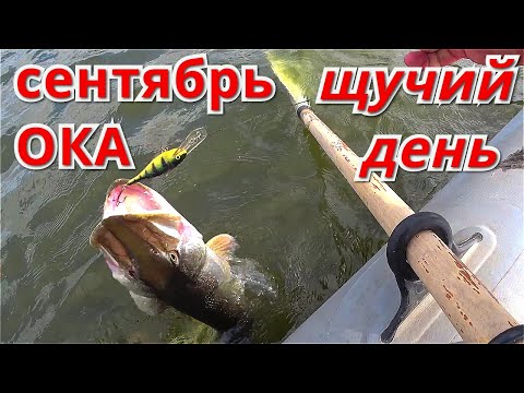 Видео: Рыбалка на ОКЕ на СПИННИНГ с ЛОДКИ. Это был ЩУЧИЙ ДЕНЬ.