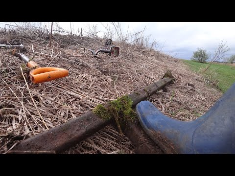 Видео: Вдоль полей железо есть. ВЕСНА23