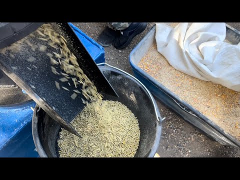 Видео: Пресс Гранулятор Комбикорма Для Фермы Или Крупного ЛПХ DR 200 inFermer С Увеличенными Роликами
