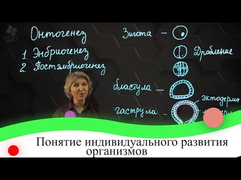 Видео: Понятие индивидуального развития организмов. 7 класс.