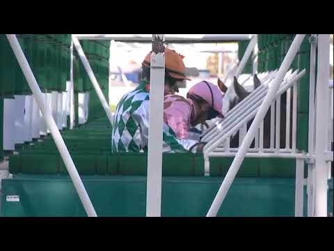 Видео: R1 -12:50, Ньюбери, Великобритания