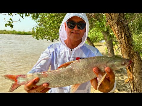 Видео: Один на один наедине с природой.