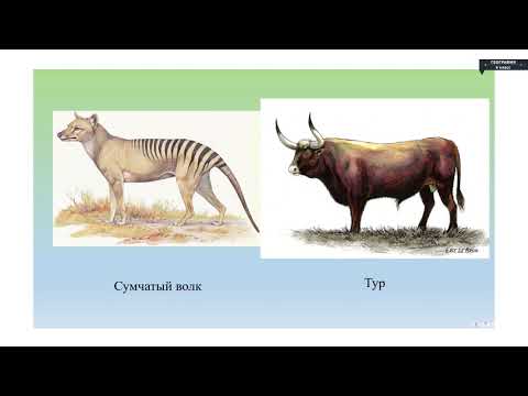 Видео: География - 6 класс - Биосфера