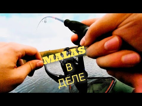 Видео: Осенняя щука на MALAS. Поверхностные приманки в деле. 