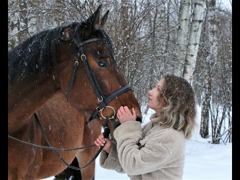 Видео: Заблуждения начинающих всадников)))