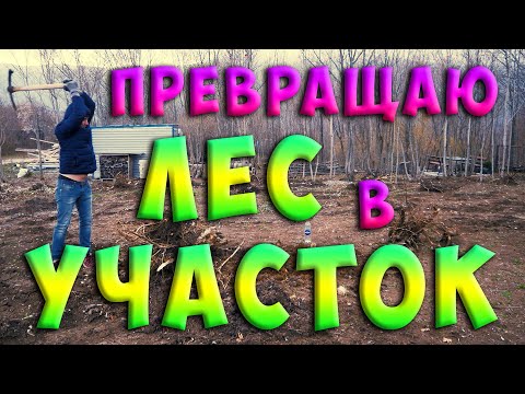 Видео: ▶Дача на участке в лесу ✔ Отчет за год, обзор