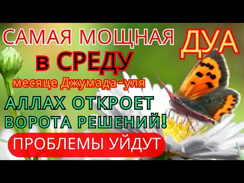 Видео: ❤️‍🩹Дуа В СРЕДУ Все желания сбываются! #дуа 🔑🤲