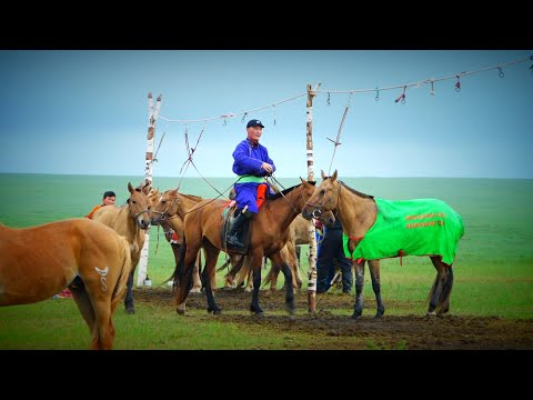 Видео: Монгол улсдаа хамгийн өндөр шагналын сантай адуучин тэмцээнийг зохион байгуулна.