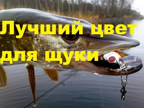 Видео: Лучший цвет для ловли щуки на твичинг