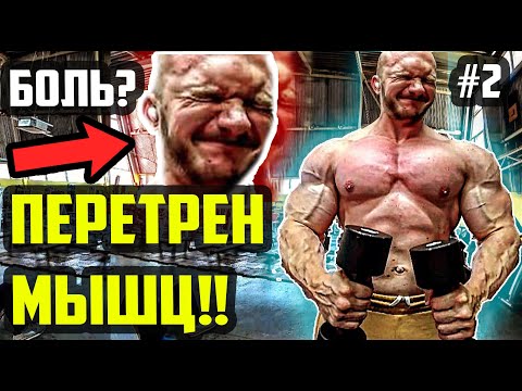 Видео: ПЕРЕТРЕН МЫШЦ | Часть 2 из 4 | КАК НАЧАТЬ ПРОГРЕССИРОВАТЬ? МЫШЕЧНАЯ ПЕРЕТРЕНИРОВАННОСТЬ