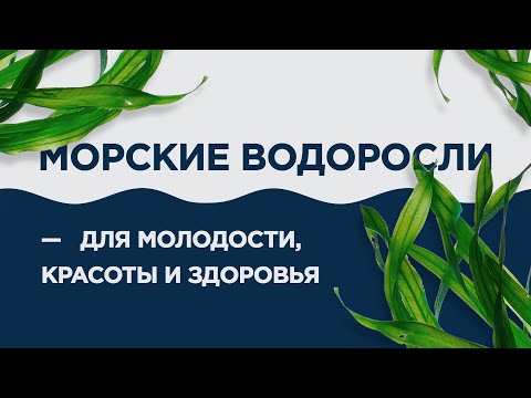 Видео: Морские водоросли — для молодости, красоты и здоровья