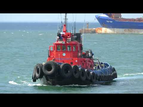 Видео: По морю