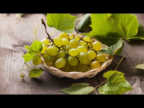 Видео: Елена Горбушина_Виноград пастелью