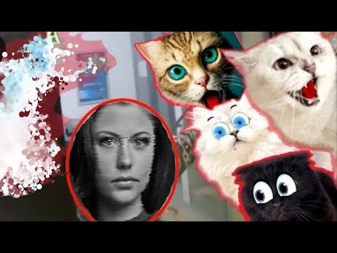 Видео: БОЙ!!! СЕРБСКАЯ ЛЕДИ В РЕАЛЬНОЙ ЖИЗНИ!!! СТРАШИЛКА!