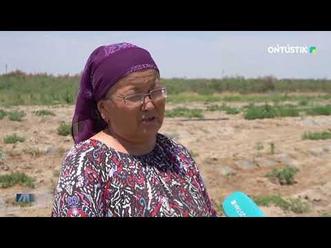 Видео: АУЫЛДЫ ШЕГІРТКЕ БАСТЫ