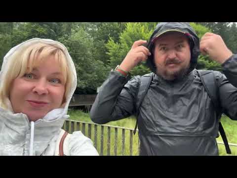 Видео: Испания Аран парк- прогулка  превратилась в встречу с медведем 