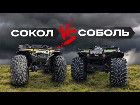 Видео: Болотоходы Сокол и Соболь: обзор, сравнение, недостатки и преимущества