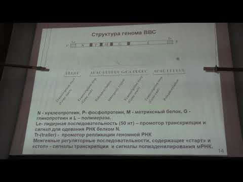 Видео: Карпова О. В. - Вирусология - 5. (-)РНК-содержащие вирусы