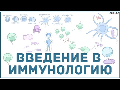 Видео: Введение в иммунологию