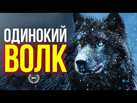 Видео: Сборник Мотивационных Речей #8 - ОДИНОКИЙ ВОЛК (Для тех кто - ОДИН)