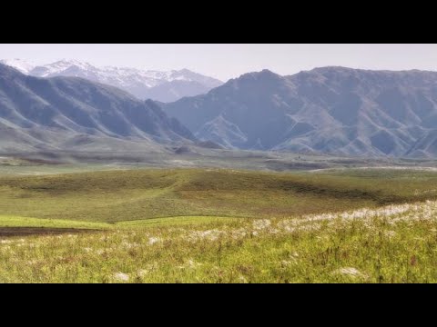 Видео: Алаколь 2022.Тарбагатай.Горы.