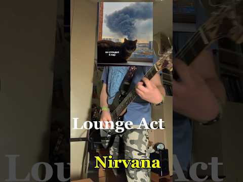 Видео: #guitar #playguitar #cover #игранагитаре #гитара #music #guitarcover #кавер