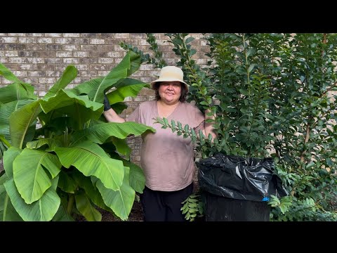 Видео: ☀️  Каждый занят. Косим,ремонтируем,играем.