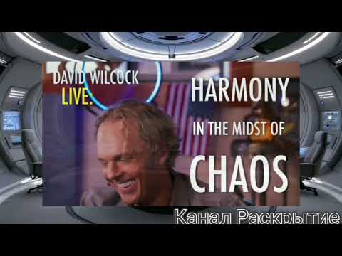 Видео: Дэвид Уилкок в прямом эфире: Гармония посреди хаоса