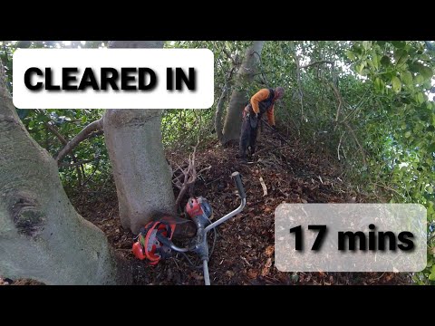 Видео: УДИВИТЕЛЬНЫЕ результаты при использовании мульчирующего ножа OREGON