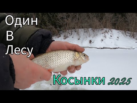 Видео: НОВЫЙ ЛАЙФ ДЛЯ КОСЫНОК.  РЫБАЛКА НА КОСЫНКИ НА ТАЕЖНОЙ РЕЧКЕ. ОДИН В ЛЕСУ.