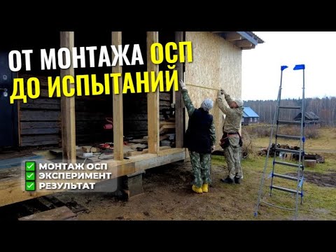 Видео: 🛠️ Обшиваем стены ОСП - и сразу проверяем на пар! Что вышло в итоге?