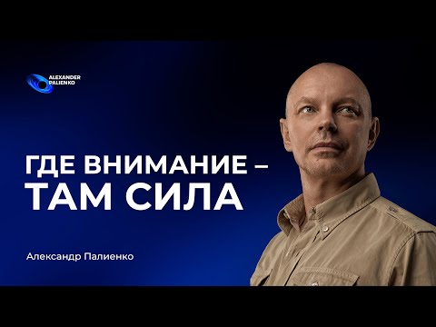 Видео: Где внимание — там сила. Александр Палиенко.