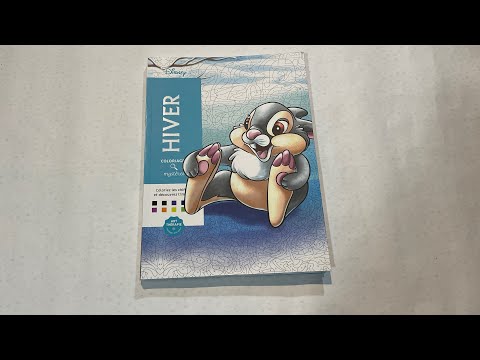 Видео: Обзор зимней раскраски «Hiver» по номерам от Disney