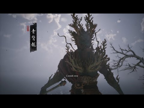 Видео: Прохождение игры Black Myth: Wukong #10