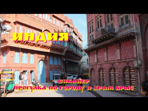Видео: Индия, Биканер и храм крыс в Дешноке.