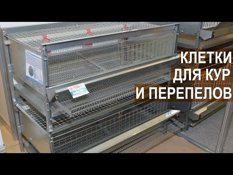 Видео: Клетки для перепелов и бройлеров от компании Стимул-Инк. Выставка Золотая Осень 2017.