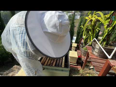 Видео: Fall checking - осенняя проверка