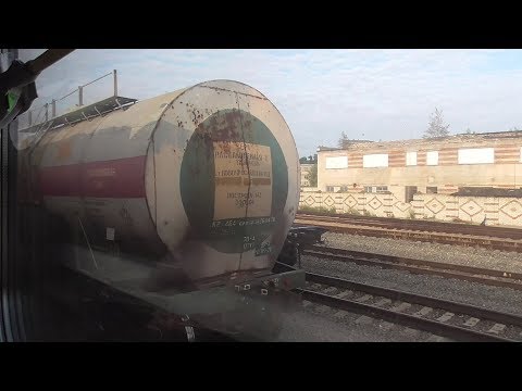 Видео: прибытие на станцию Ефремов