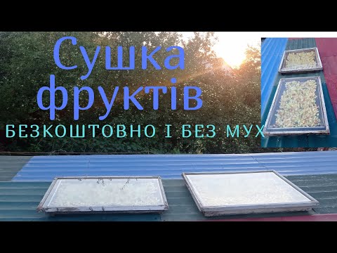 Видео: Сушка фруктів!безкоштовно і без мух