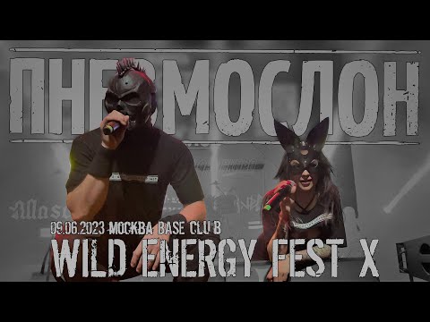 Видео: ПНЕВМОСЛОН - 09.06.2023 Wild Energy Fest X (Москва,"BASE club") live