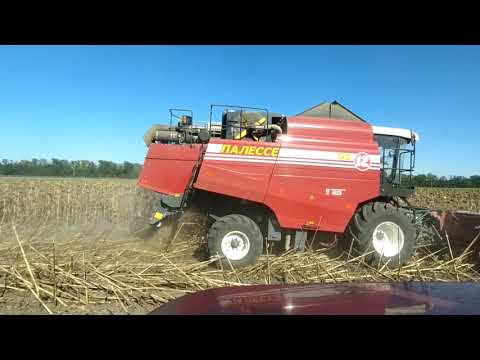 Видео: 2 Ч. Уборка подсолнечника, КамАЗ хтх 215 - сезон 2020 -